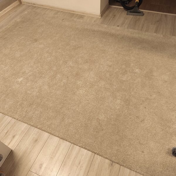 Tepovanie kobercov Senec 